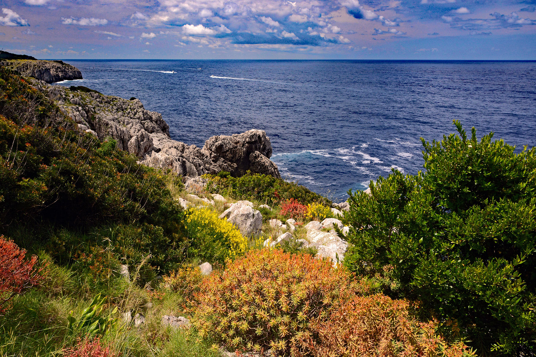 Wild Coast of Capri